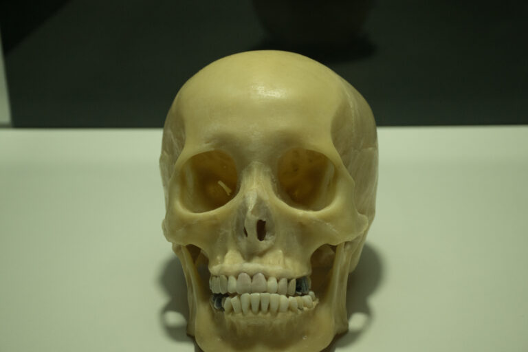 _SID2881