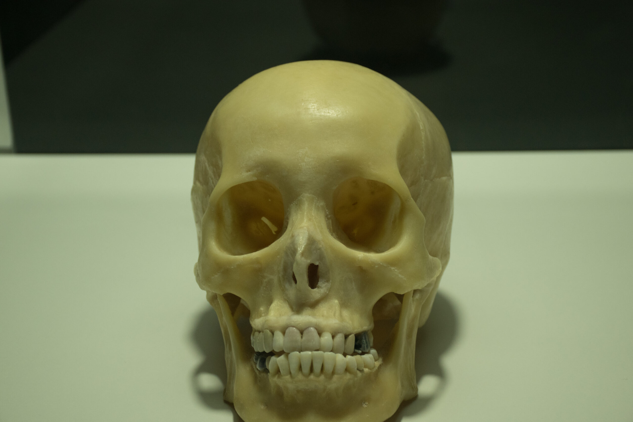 _SID2881